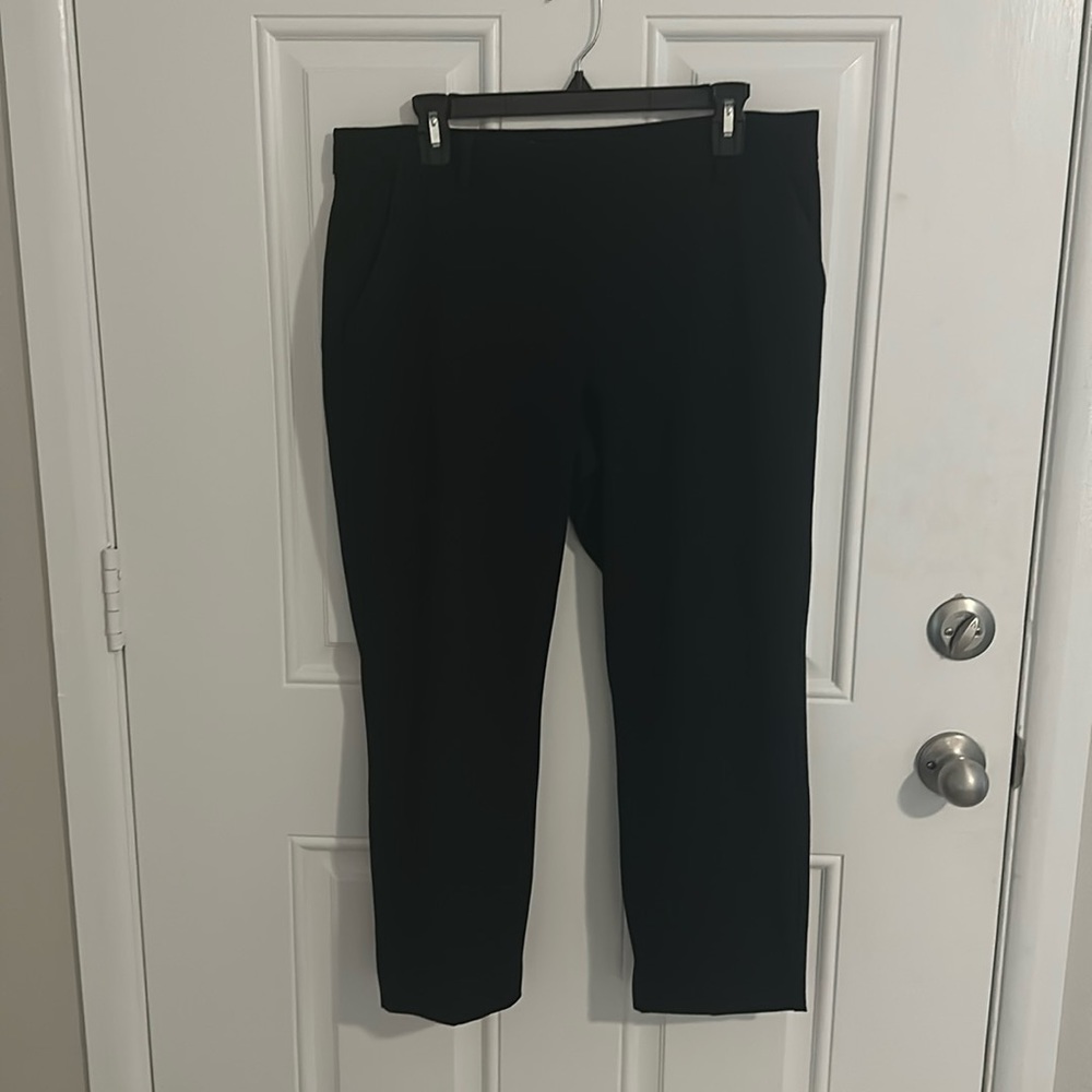 Express 12 Short Slacks